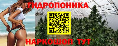прущие грибы Малгобек